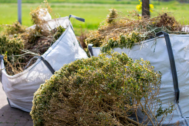 Best Same-Day Junk Removal Services  in Epworth, IA